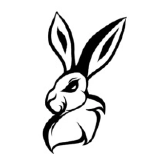 Rabbiz3D