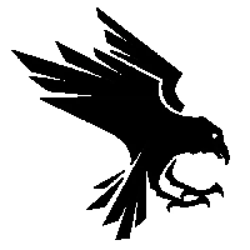 BlackRaven3D